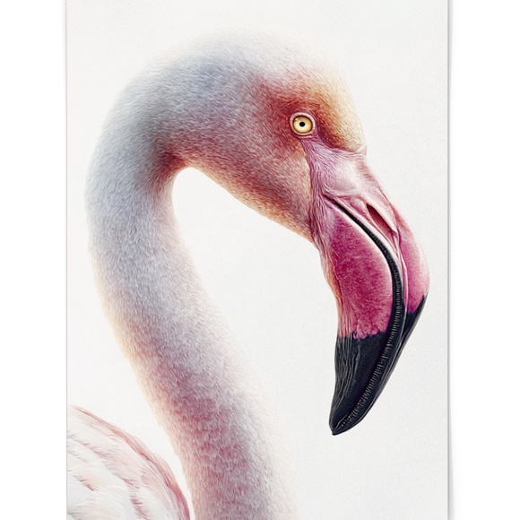 Watercolor Flamingo Wall Art Print, Unframed - Vibrant Tropical Elegance - Picture 2 of 7